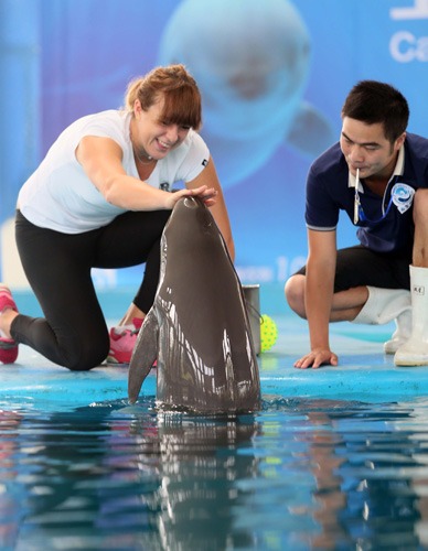 帕夫洛维奇 帕夫洛维奇